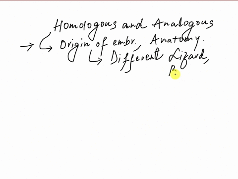 of-homologous-structures-and-one-palr-look-at-the-structures-in-the-image-below-identify-one-pair-analogous-structures-explain-why-they-are-homologous-or-analogous-lizard-digging-whale-swimm-97151