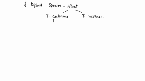 which-compound-forms-when-carbon-dioxide-diffuses-and-reacts-with-seawater-a-hydroxide-ions-b-carbonate-c-bicarbonate-d-carbonic-acid-04776