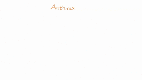 anthrax-is-caused-by-the-spore-forming-gram-positive-bacterium-bacillus-anthracis-the-bacteriums-major-virulence-factors-are-a-the-anthrax-toxins-and-b-an-antiphagocytic-polyglutamic-capsule-08751