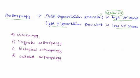 question-13-which-subdiscipline-of-anthropology-ould-research-why-darker-skin-plgmentation-contexts-while-lighter-skin-pigmentation-prevalent-in-low-uv-areas-archaeology-lingulstic-anthropcl-67432