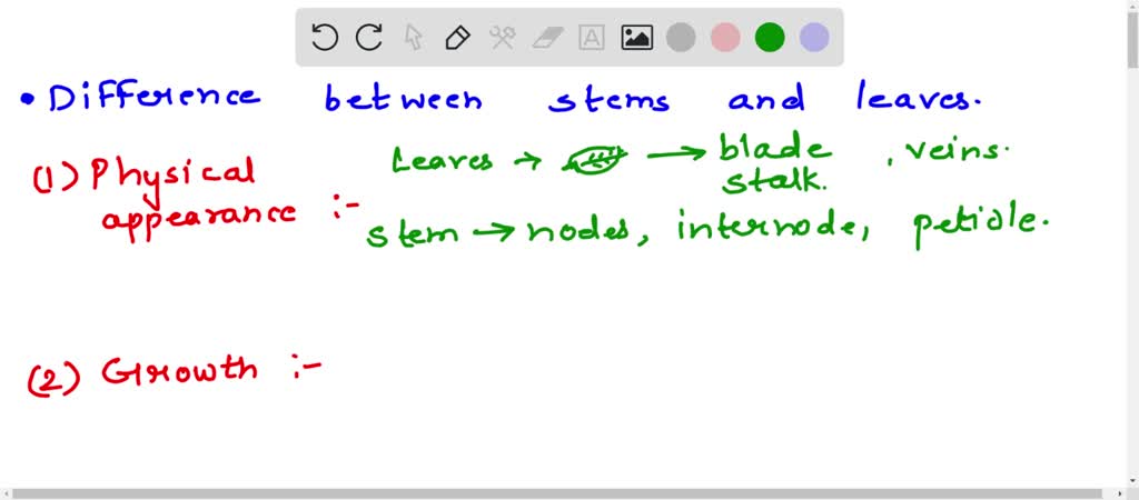 solved-how-can-you-tell-the-difference-between-stems-and-leaves-in