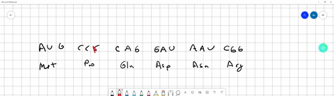 in-a-frameshift-mutation-all-of-the-amino-in-a-frameshift-mutation-caused-by-a-deletion-all-of-the-amino-acids-before-the-shift-are-changed-multiple-choice-true-false-36737