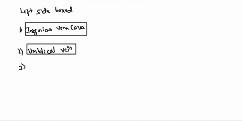 click-and-drag-each-label-to-accurately-identify-the-components-of-fetal-circulation-inferior-vena-cava-abdominal-aorta-common-iliac-artery-ductus-arteriosus-umbilical-arteries-es-urinary-bl-61513