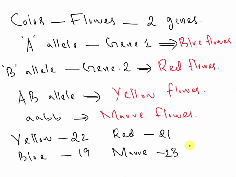 colour-in-a-type-of-flower-is-controlled-by-two-genes-that-together-lead-to-four-unique-colours-of-petals-the-a-allele-of-gene-1-produces-the-dominant-phenotype-blue-flowers-the-b-allele-of-87997