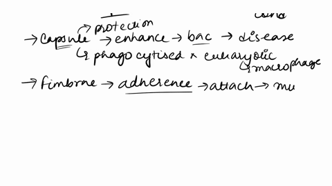 1-define-virulence-factors-2-choose-two-of-the-following-bacterial-structures-and-explain-how-it-can-function-as-a-virulence-factor-capsule-fimbriae-or-list-your-example-and-describe-how-it-51873