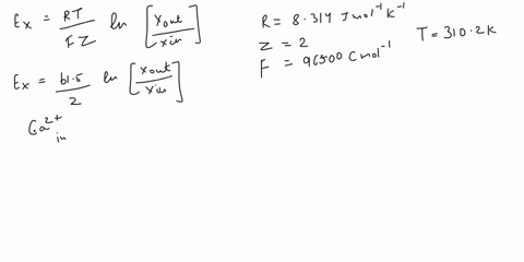 cslculste-the-ca-ion-equilibrium-potential-for-cell-with-an-intracellular-ca-concentration-of-01-am-and-jn-extracellular-concentration-of-mm-application-of-4-hormone-to-the-surface-of-the-ce-26337
