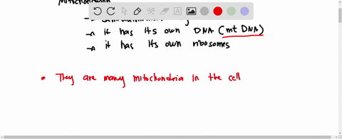 mitochondrial-dna-can-be-taken-from-bone-hair-or-teeth-and-used-in-dna-typing-what-are-the-benefits-to-using-mitochondrial-dna-over-nuclear-dna-mtdna-requires-a-much-smaller-sample-than-nucl-90338
