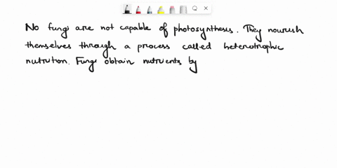 are-there-photosynthetic-fungi-how-do-fungi-nourish-themselves-76657