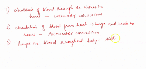1-a-circulation-of-blood-through-the-tissues-of-the-heart-2-a-circulation-of-blood-from-the-heart-to-the-lungs-and-back-to-the-heart-4-pumps-the-blood-throughout-the-body-6-carries-the-mater-96366