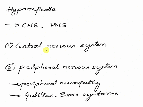sometimes-the-reflex-response-is-diminished-or-absent-a-phenomenon-termed-hyporeflexia-do-you-think-hyporeflexia-would-be-caused-by-disorders-of-the-central-nervous-system-or-the-peripheral-92844