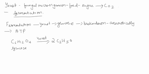help-with-questions-1-3-if-possible-thank-you-results-yeastwoter-eastglcos-water-after-24-hours-the-result-are-herewill-you-match-each-of-them-questions-1-why-did-some-balloons-inflate-in-th-08886