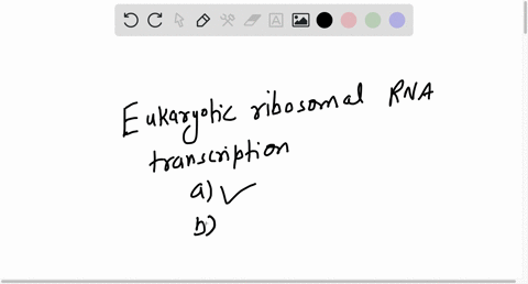 which-statement-about-eukaryotic-ribosomal-rna-transcription-is-false-select-an-answer-and-submit-for-keyboard-navigation-use-the-updown-arrow-keys-to-select-an-answer-a-ribosomal-rnas-are-p-84318