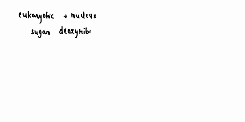 which-of-the-following-is-a-characteristic-of-dnabut__et-rna-select-all-that-apply-in-eukaryotic-cells-is-found-mainly-within-the-nucleus-contains-the-sugar-deoxyribose-contains-the-nitrogen-41378