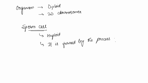 if-an-organism-has-20-chromosomes-c-how-many-chromosomes-are-in-a-sperm-cell-ust-write-down-the-number-d-what-process-is-used-to-produce-sperm-cells-56152