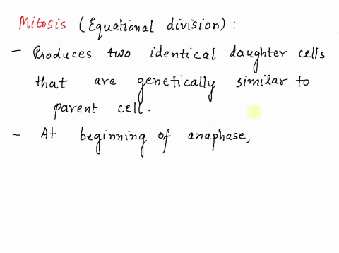which-statement-about-mitosis-is-not-true-a-a-single-nucleus-gives-rise-to-two-identical-daughter-nu-40542