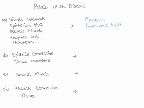 peptic-ulcer-disease-a-case-on-the-digestive-system-match-the-phrase-with-description-a-simple-columnar-epithelium-that-secretes-mucus-choose-enzymes-and-hormones-choose-muscularis-externa-a-25042