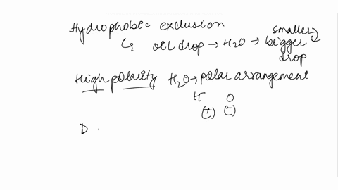 integrity-the-maintaln-mpld-bllayer-which-propenty-water-helpe-membranes-specific-heat-capacity-hydrogen-bonding-conesion-and-adhesion-hydrophobic-exclusion-water-act-as-universal-solvent-be-35116