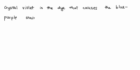 which-of-the-following-is-the-dye-that-causes-the-blue-purple-staining-of-gram-positive-bacteria-in-gram-staining-a-crystal-violet-b-ethyl-alcohol-c-fuchsin-d-methylene-blue-e-feulgen-61622