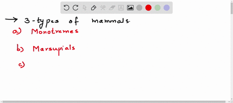 compare-and-contrast-the-three-types-of-mammals-with-respect-to-fetal-development-and-birth-the-monotremes-such-as-the-platypus-the-marsupials-such-as-kangaroos-and-the-placentals-such-as-hu-55622