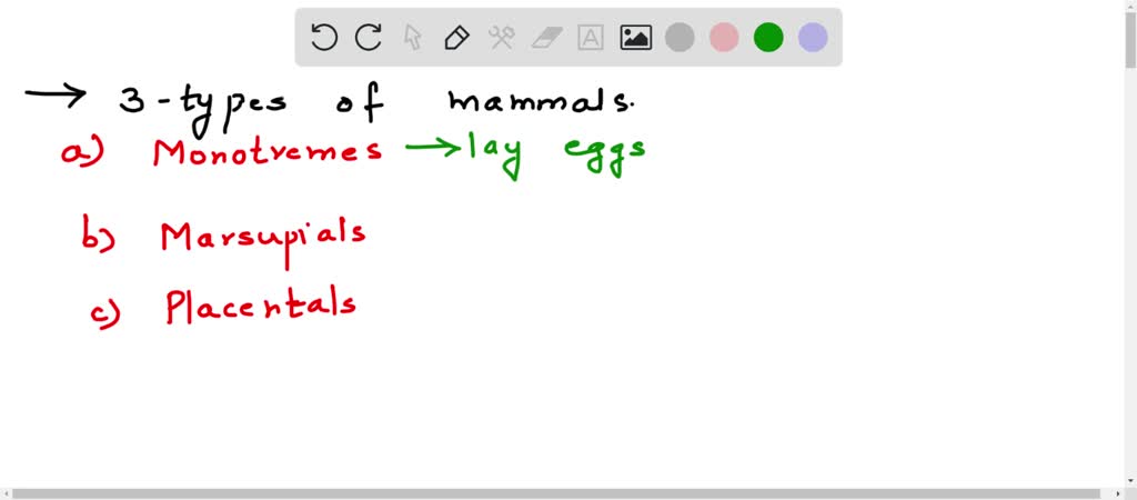 SOLVED:1. Describe the evolutionary relationship between Monotremes