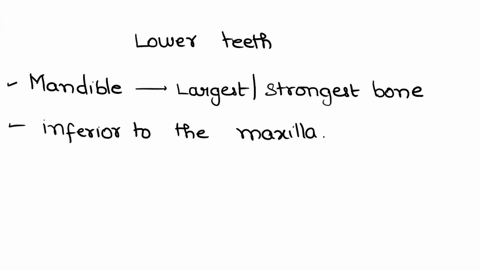 s-s-6-the-lower-teeth-are-anchored-in-the-3j07-a-nasal-bones-b-zygomatic-bones-c-mandible-d-maxilla-74542