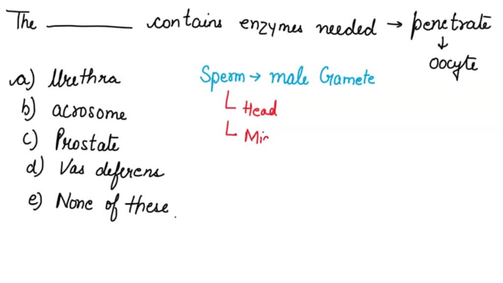 SOLVED The acrosomal cap is the part of the sperm that contains the