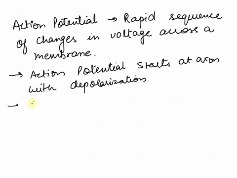 explain-why-the-strength-of-an-action-potential-doesnt-decrease-as-it-travels-down-an-axon-2-93602