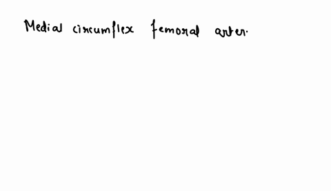 which-of-the-following-is-the-main-source-of-blood-supply-to-the-head-and-neck-of-femur-olateral-circumflex-femoral-artery-odescending-branchof-superior-gluteal-artery-medial-circumflex-femo-67965