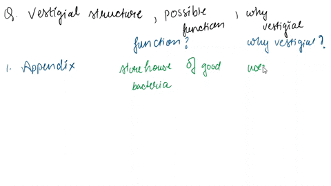 below-is-a-list-of-hunan-vestigial-structures-suggest-possible-function-for-cach-structure-and-explain-why-it-i8-considered-vestigial-4-points-structurc-probable-function-why-vestigial-appen-02882