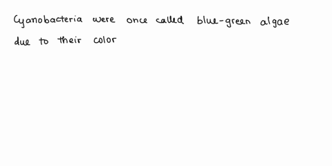 part-ill-answer-the-following-questions-about-cyanobacteria-cyanobacteria-were-once-called-the-are-prokaryotes-because-of-their-color-but-they-many-cvanobacteria-contain-special-celled-calle-03369