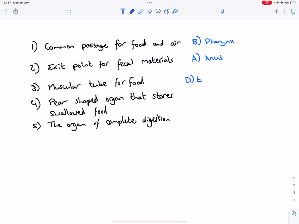 SOLVED Chapter 22 Nutrition and Digestion This structure closes off