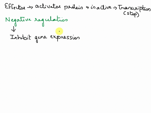 an-effector-molecule-binds-to-an-activator-protein-changing-the-activators-conformation-so-that-it-is-inactive-then-transcription-of-the-respective-genes-are-stopped-is-this-positive-or-nega-53218