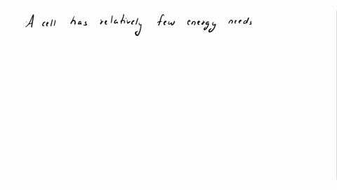 a-cell-whith-relatively-few-energy-needs-will-probably-have-a-relatively-small-number-of-____-please-answer-my-questions-45411