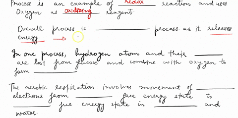 the-equation-c6h12o6aq-6-o2g-6-co2g-6-h2ol-energy-via-heat-and-atp-represents-the-process-of-aerobic-cellular-respiration-the-term-aerobic-means-that-blank-is-used-in-the-process-this-is-a-s-95084