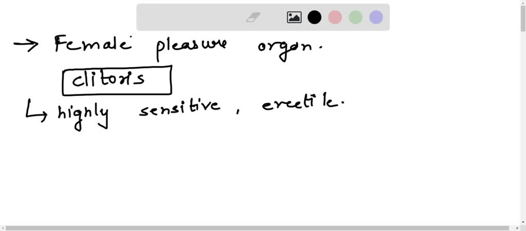 solved-1-what-is-the-female-pleasure-organ-any-why-describe