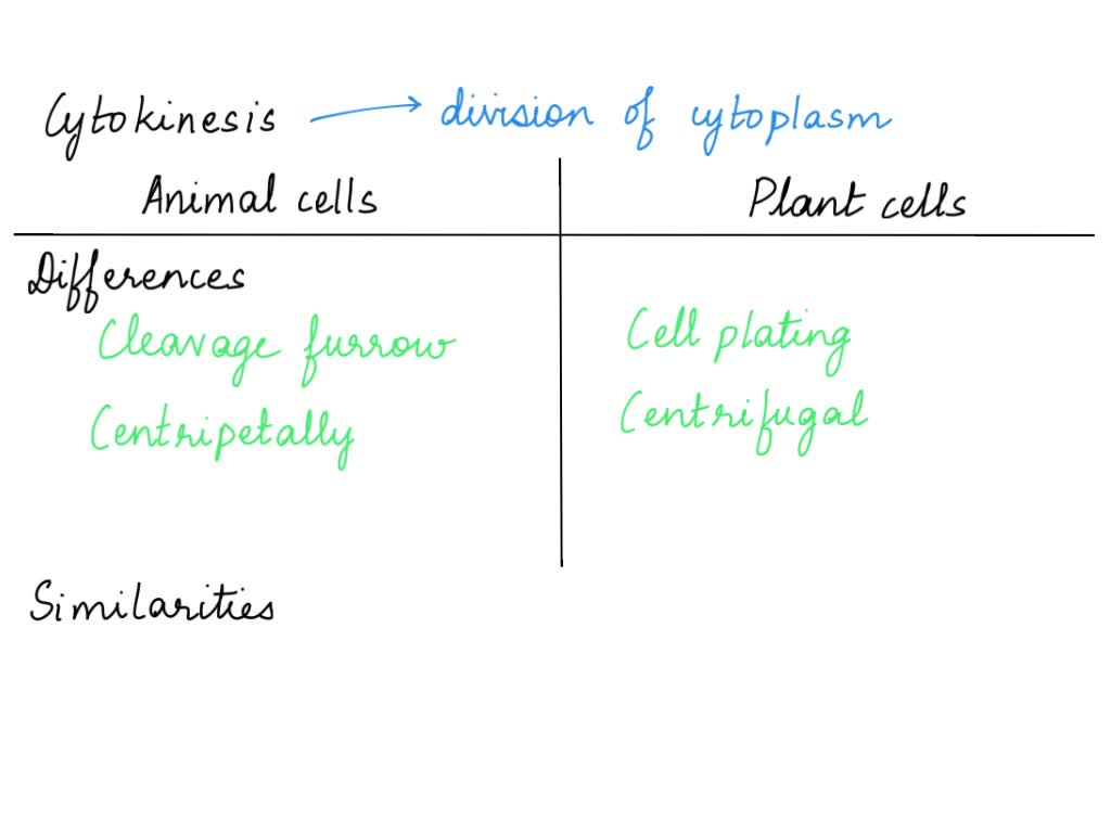 SOLVED: Describe the similarities and differences between the cytokinesis  mechanisms found in animal cells versus those in plant cells.