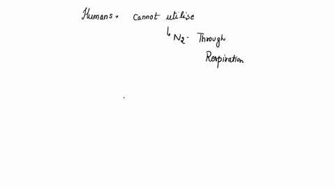 how-do-humans-get-the-nitrogen-they-need-60509