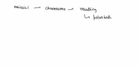 a-secondary-oocyte-is-arrested-in-what-phase-of-meiosis-96733