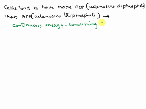 why-do-cells-tend-to-have-more-adp-molecules-than-atp-molecules-70867