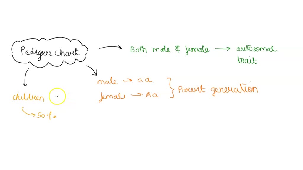 SOLVEDProblem A Trait Eye shape There are two possible phenotypes for eye shape Almond (A) or