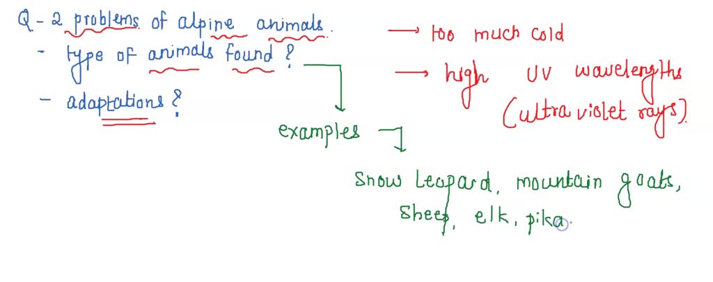 SOLVED: '49. What 2 problems do alpine animals have to deal with? As a  result what types of animals do you find here? 50. What adaptations do animals  in this area have