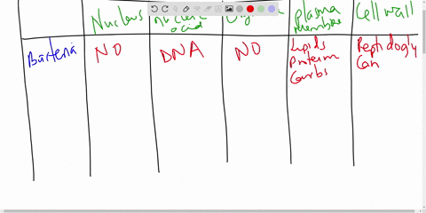 week-one-worksheet-properties-of-microorganisms-plasma-membrane-chemicals-cell-wall-type-of-nucleic-acid-organelles-present-nucleus-present-made-of-bacteria-none-sometimes-host-derived-virus-19442