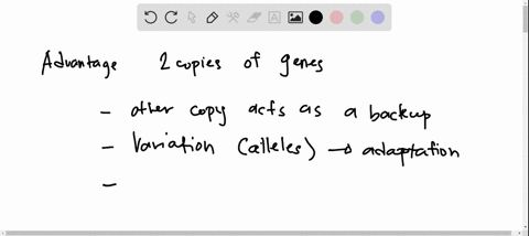 1a-prokaryotes-have-only-one-chromosome-and-therefore-only-one-copy-haploid-of-most-genes-many-eukaryotes-have-pairs-of-chromosomes-diploid-and-two-copies-for-each-gene-what-is-the-advantage-74364