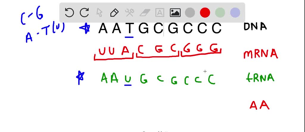 solved-define-genetic-code-differentiate-between-codon-and-antieodon
