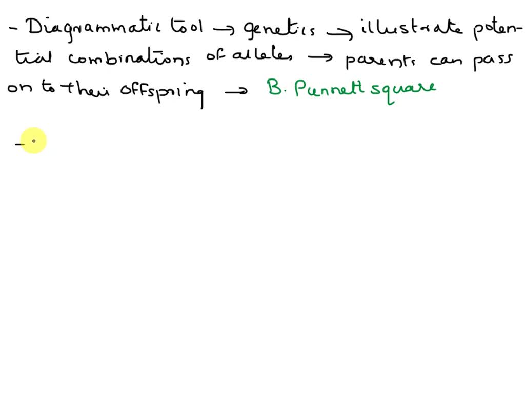A square is a chart used to determine possible of offspring