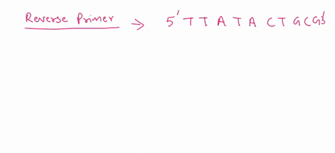 consider-the-dna-sequence-below-design-two-14-base-primers-to-amplify-the-full-length-of-the-sequence-pay-attention-to-the-polarity-of-each-primer-for-full-points-do-not-add-spaces-in-primer-87067