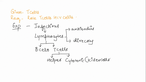 discuss-the-functions-of-the-t-helper-cell-in-cell-based-immunity-and-its-relation-to-the-hiv-virus-57392
