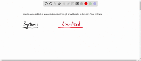 yeasts-can-establish-a-systemic-infection-through-small-breaks-in-the-skin-true-or-false-99202