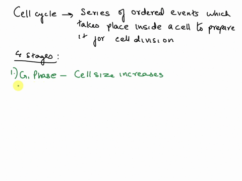 summarize-the-primary-stages-of-the-cell-cycle-81287