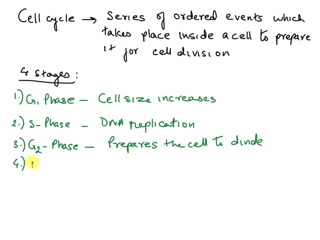 the-cell-cycle-gateway-to-understanding-cancer-firstclass